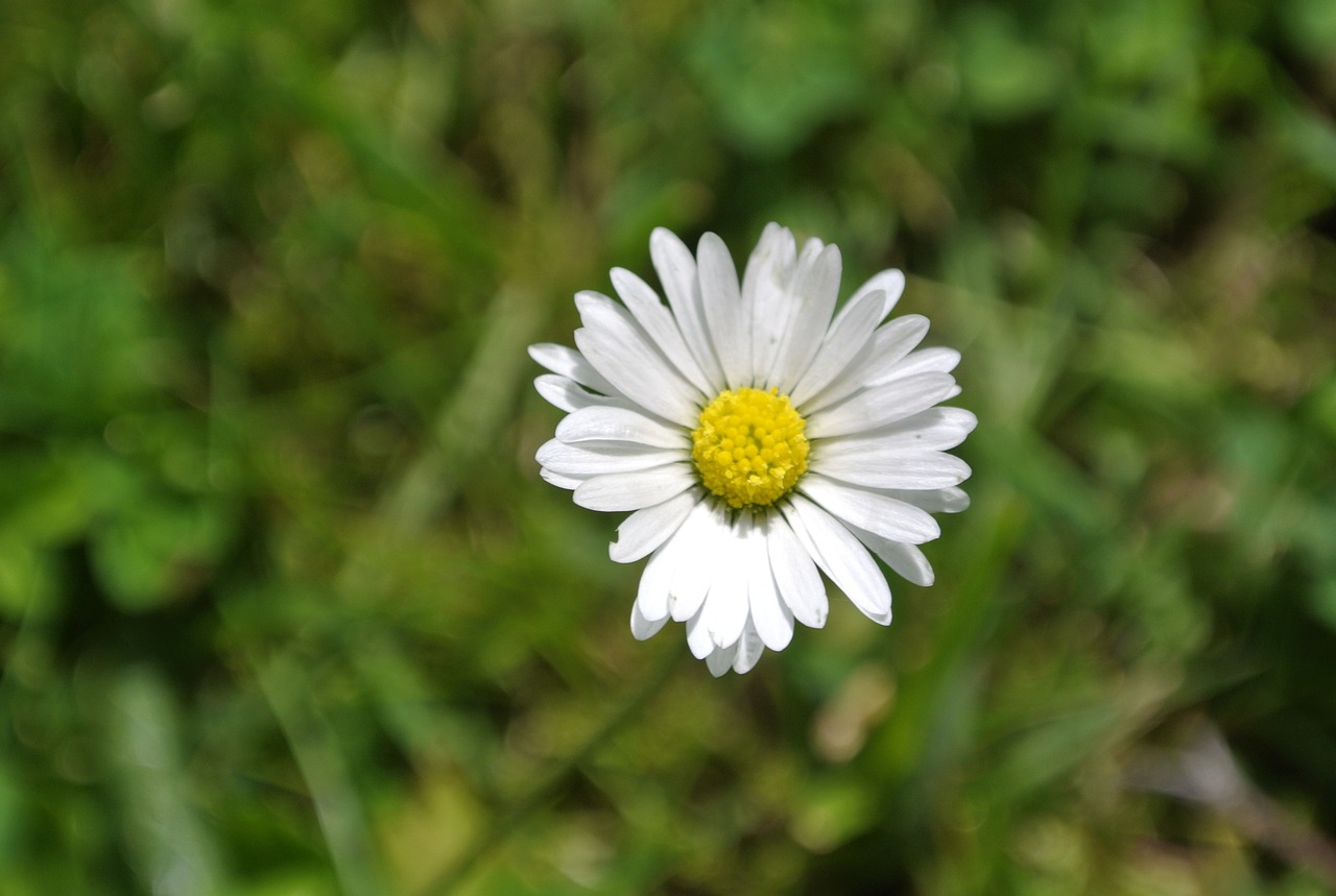 Natureum Ludwigslust